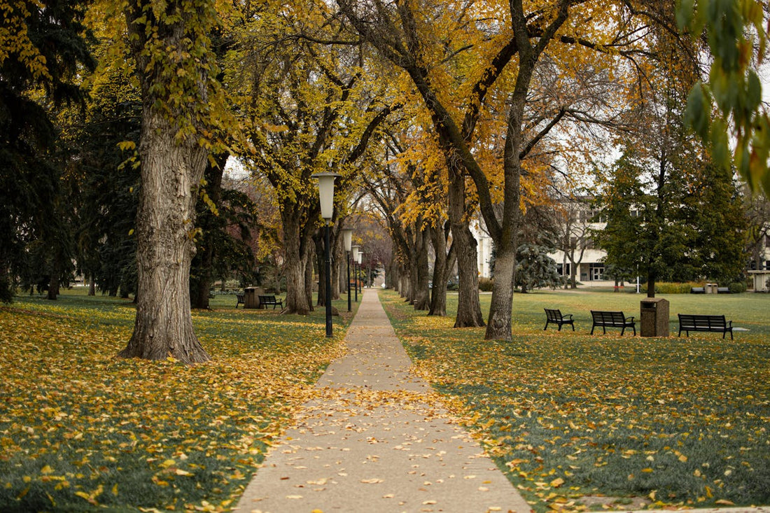 st.Albert Alberta
