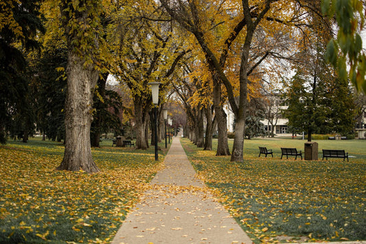 st.Albert Alberta