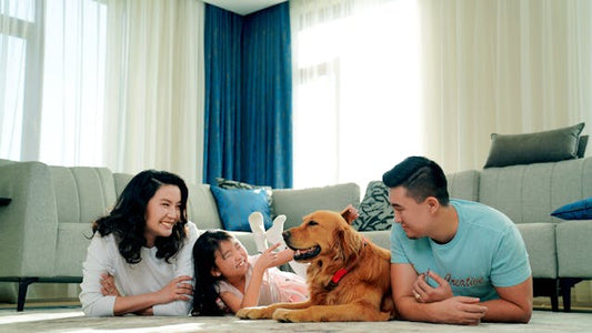 free event abd naturals aromatherapy safety for kids and pets in St Albert Edmonton